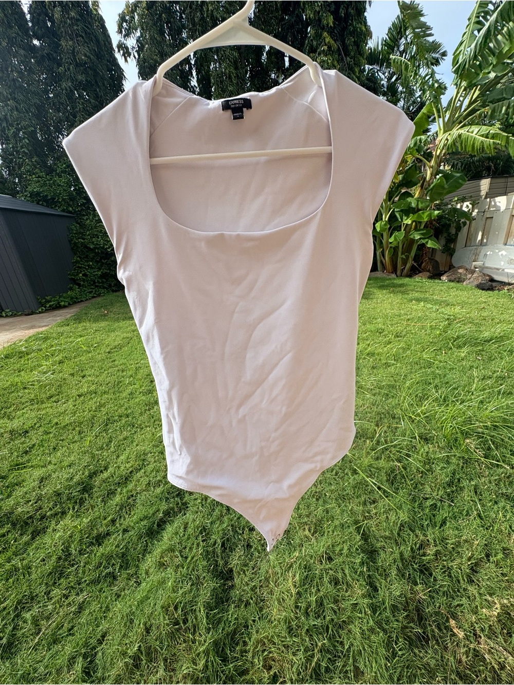 Express Light Pink Scoop-Neck Cap Sleeve Bodysuit